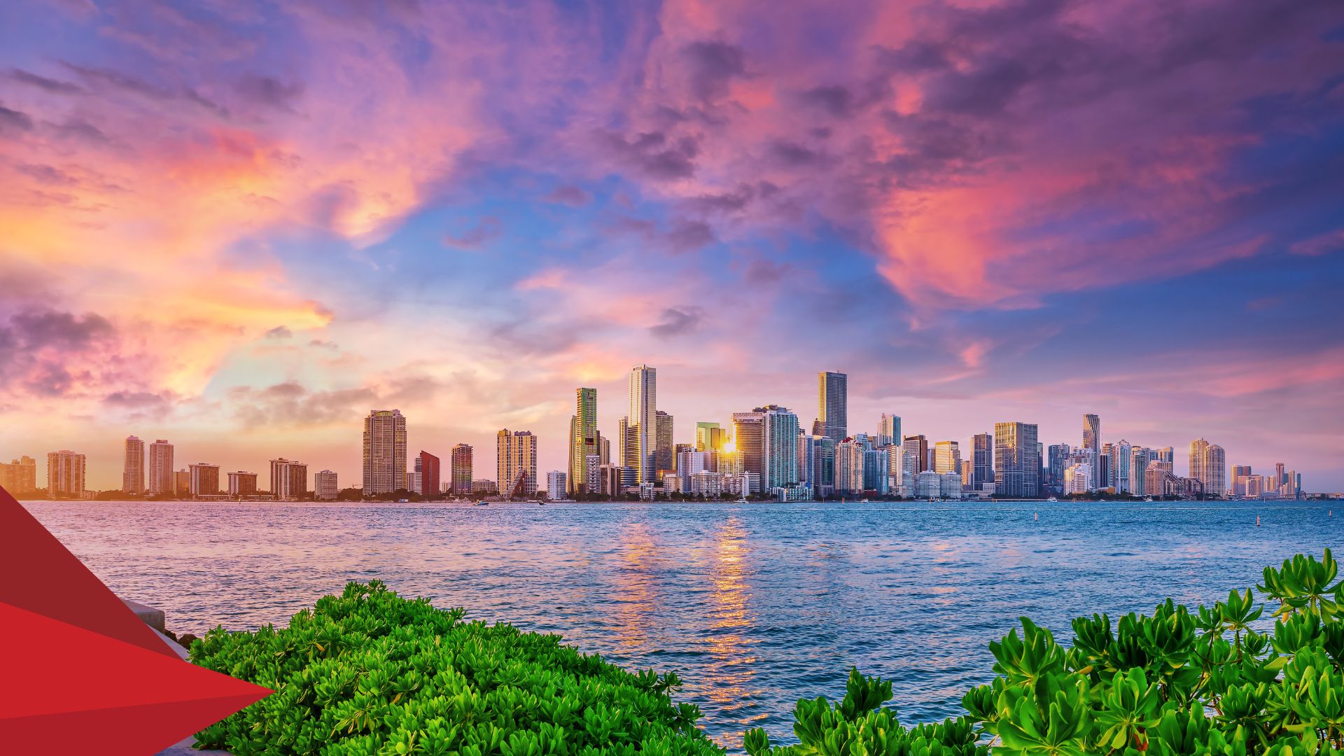 A.Celli at Tissue World Miami 2024